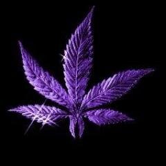 Cut the drama, smoke marijuana
*Not affiliated with the University of Scranton*
