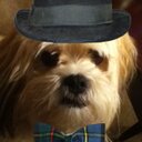 Hillary Carter - @CarterhillYOLO - Twitter