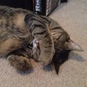 Brandon Fee - @thebfee - Twitter