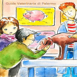 Guida Veterinaria di Palerno