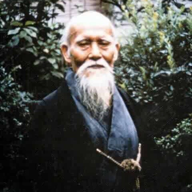 Primary style studied Aikikai. Also studied is Muso Shinden Eishin ryu