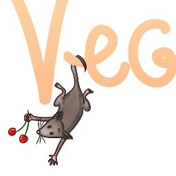 Vegenious, c'est un blog qui vous donne toutes les infos utiles sur le végétarisme/végétalisme
