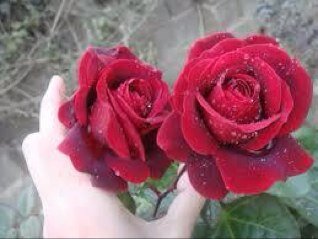 ﻣﺠَﺮﺩ ﺎﺑﺘﺴّﺎﻣِﻪَ ﻭﻗِﻠﺐْ ﻧﻈِﻴﻒَ ﻭﻧﻔﺲ ﺳّﻤِﻮﺣَﻪ ﻫَﻜﺬﺍ ﺗﻌّﻴﺶَ ﺟَﻤﺎﻝ ﺎﻟﺤُﻴﺎه .,♥