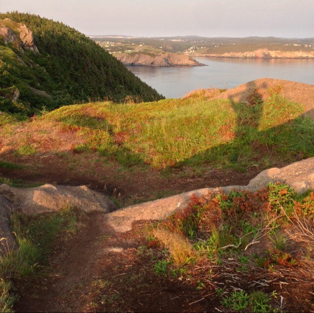 artvandelay89's profile picture. 