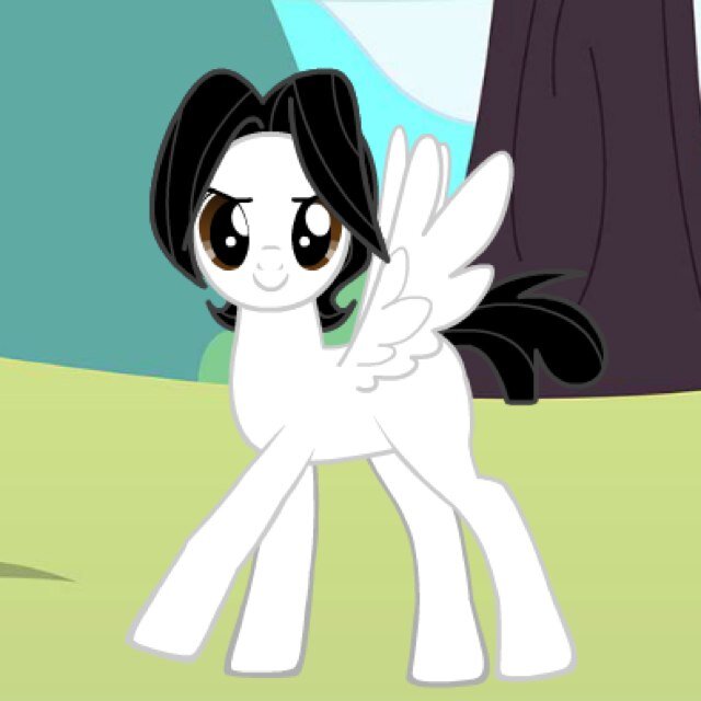 Main account: @Mlp_BronyBoy @EQG_BronyBoy just a reporter