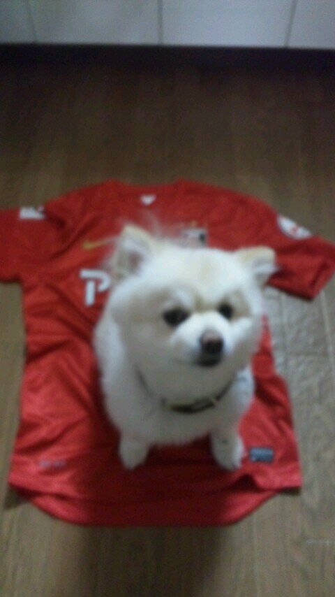 We are REDS(￣∇￣*)ゞ  レッズを愛し  プロレスを愛し  赤羽で呑み  人生  楽しいは自分次第!!