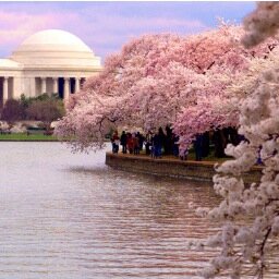 Showcasing some of the prettiest places in the DC, Maryland, Virginia region.