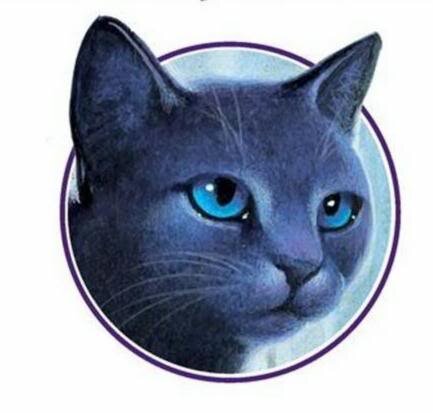 Loner, Apprentine, knows all the herbs, blue she-cat, with icy blue eyes and long sharp claws. knows how to fight.