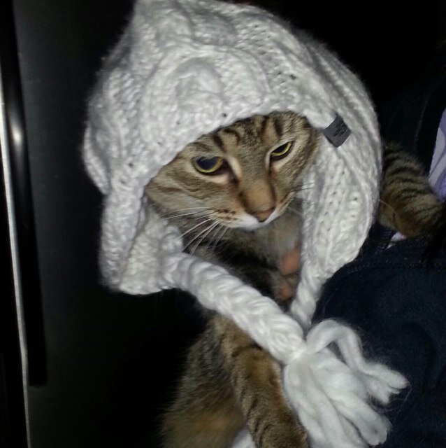 Jasper is the name, Carpet weed is the game. Don't get it Twisted... Unless its a blunt, MEOW.