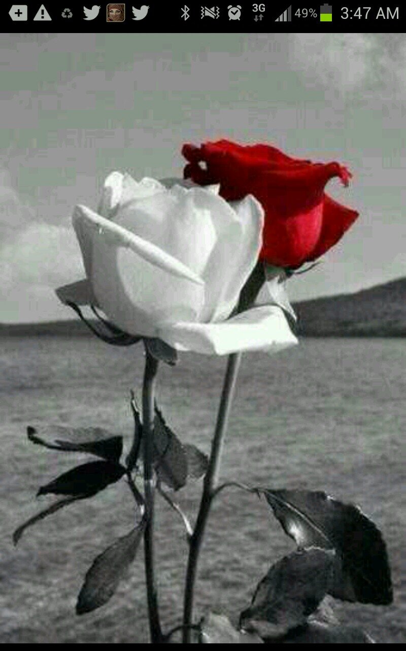 ‏الخاص ممنوع