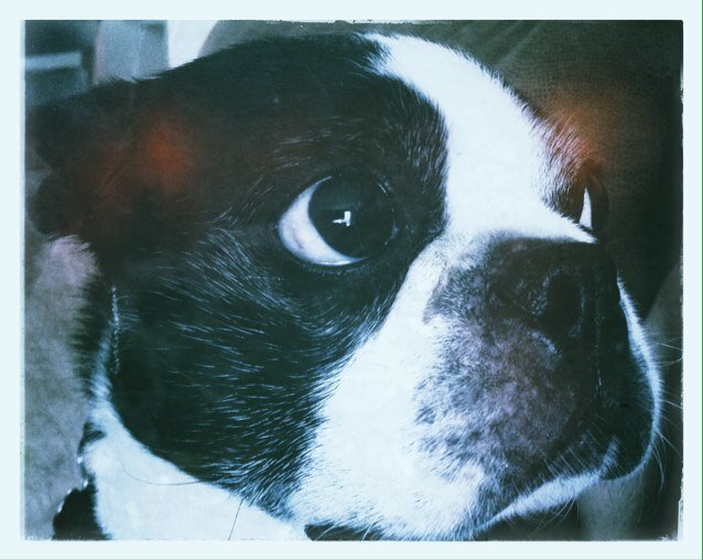 CeasarSneezer's profile picture. 