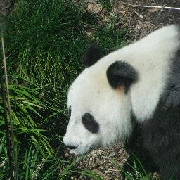 SouthCityCounse's profile picture. Counseling Relationships mostly... I do the other stuff too as relationships are mostly about the other stuff