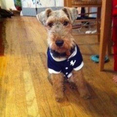 MichelleAltman1's profile picture. Mom. Athlete. Writer.