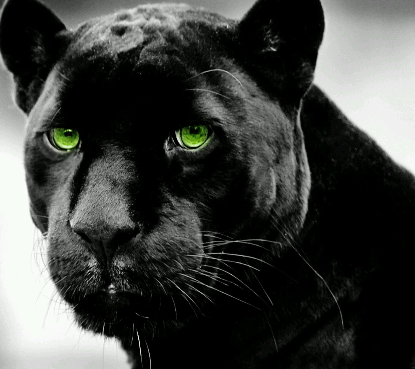 kcpage6's profile picture. 