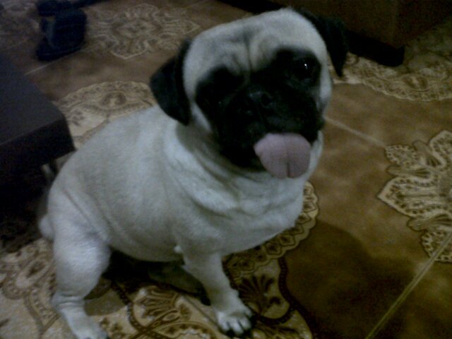 NilsanSuarez's profile picture. 