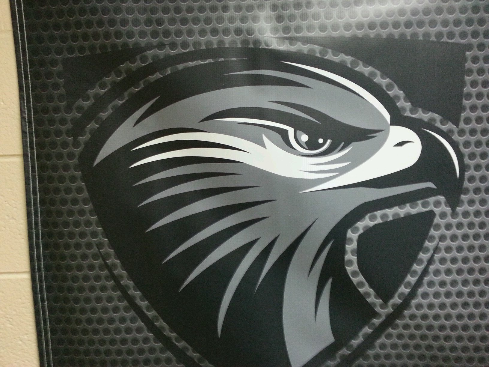 MelLightner's profile picture. 