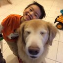 Pearl Wu - @Pearlpcwu - Twitter