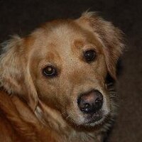 KLB (@kayellbee) 's Twitter Profile