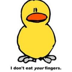 JAXvegetarian's profile picture. Vegetarian's have to be creative, because most processed food is not.