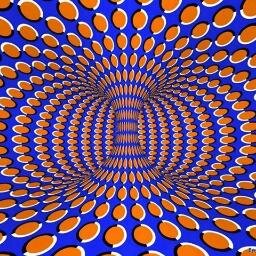 arifer1995's profile picture. 