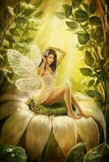 campanita2420's profile picture. 