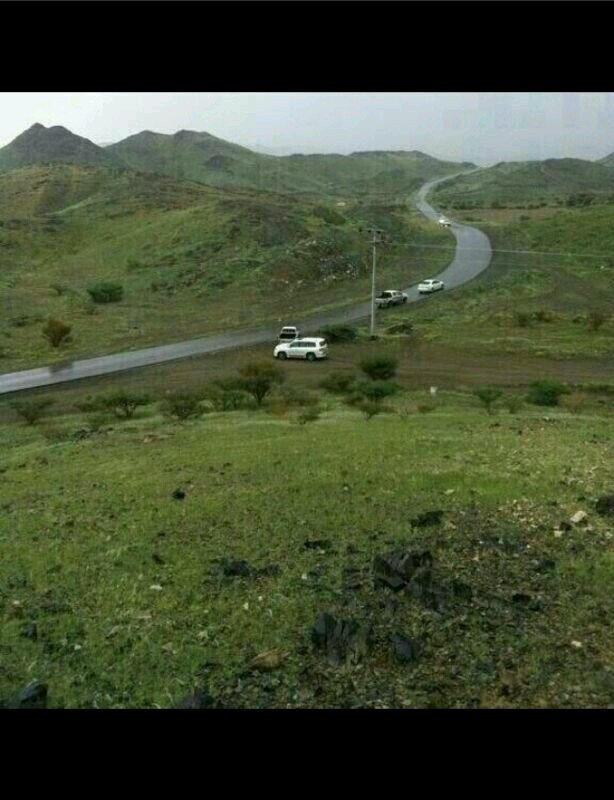 ‏سبحانك اني كنت من الظالمين