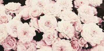 A1989H's profile picture. 