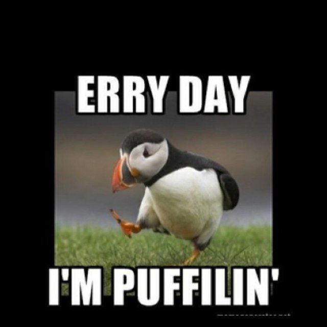 I just post funny stuff! Follow me! I follow back!