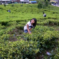 Steffy Christiani YS (@steffelone_ofc) 's Twitter Profile