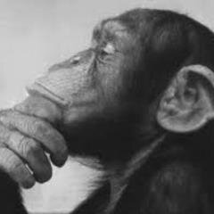 BOAxMonk's profile picture. I'm awesome that's it