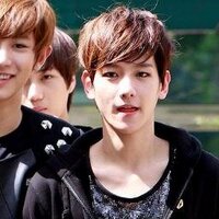 hexos (@baekxi) 's Twitter Profile