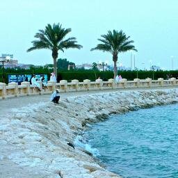 وظائف في الخبر