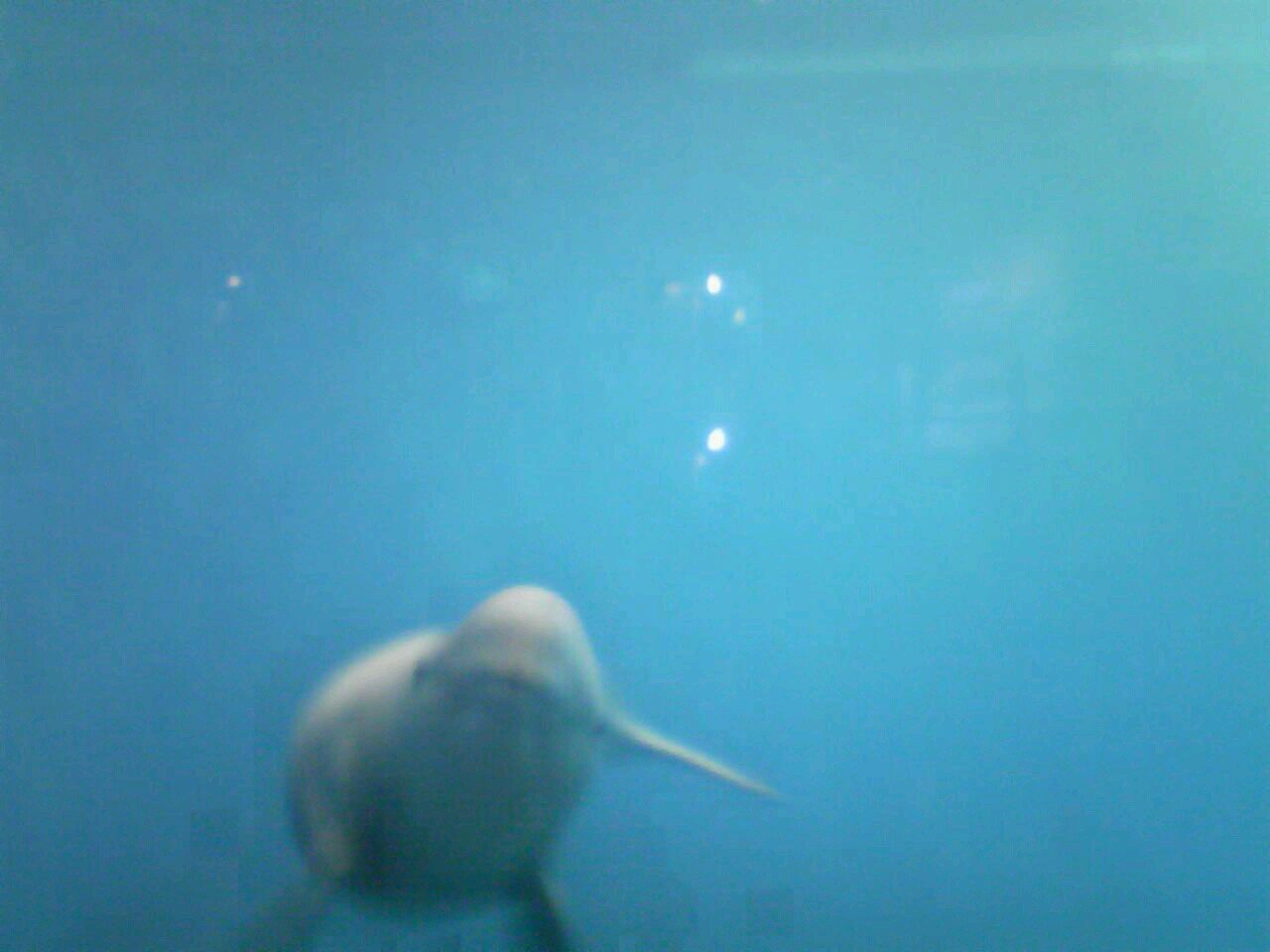 FallChange's profile picture. 女子力たかめるためにつくった秘密垢