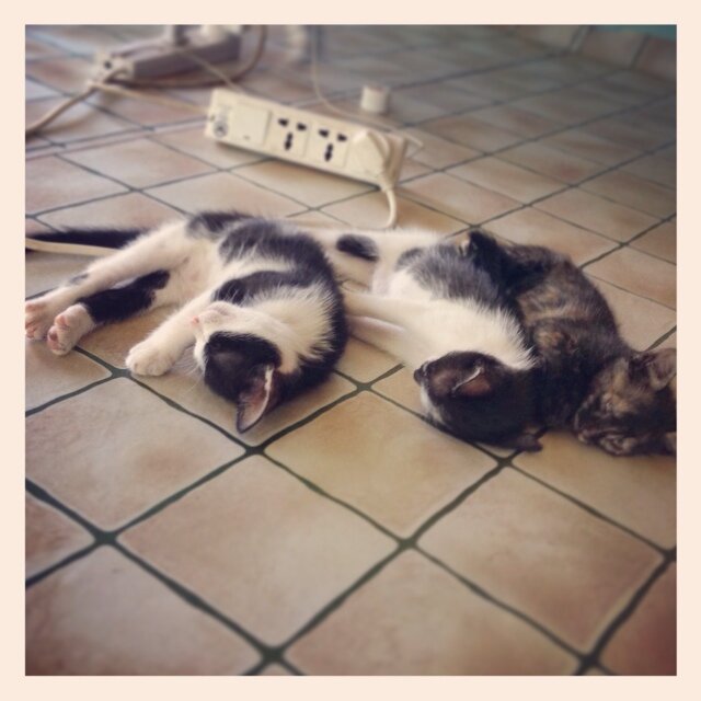 Gabz_13's profile picture. 