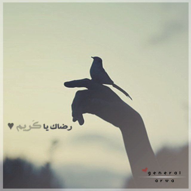 {سبحانك ربي إني كنت من الظالمين } ^~**