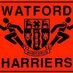 Watford Harriers AC (@watfordharriers) Twitter profile photo Watford Harriers AC (@watfordharriers) Twitter profile photo