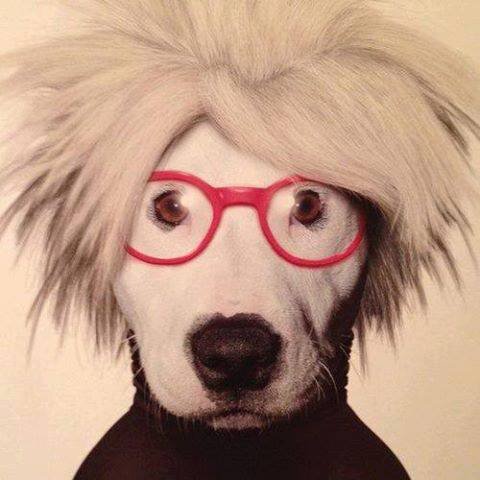 Street Art Dubai - and we love dogs
