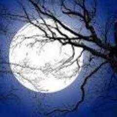 Lua do cerrado