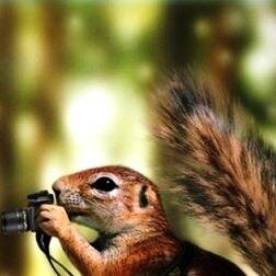 Kimi zaman güldüren, kimi zaman hüzünlendiren, kimi zaman düşündüren, kimi zaman da tanıtan özel fotoğraf kareleri...