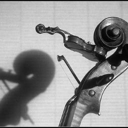 Músico y artista :) o al menos... en el intento de ello! Violista, NO VIOLADORA, harta de que me confundan con el violín; amo el arte en todos sus campos! ;D