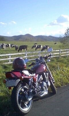 naoki_bikesan's profile picture. 