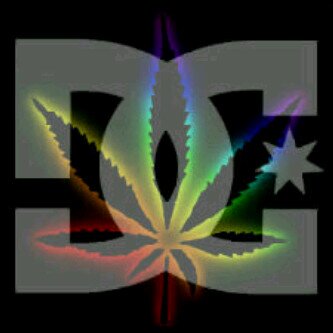 True blazer