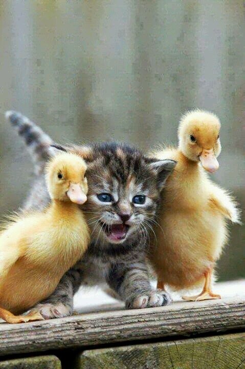 Abba27Borss's profile picture. 