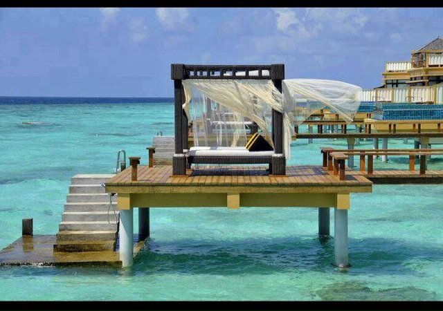 techtech21's profile picture. 