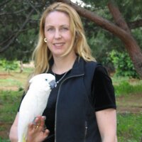 Dr Rachel Grant (@drrachelgrant) 's Twitter Profile