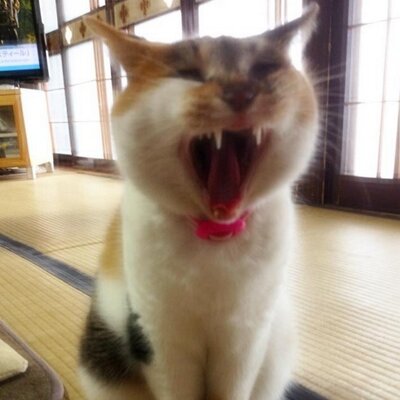 七海