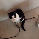 Ken Saito - @3110Fly - Twitter