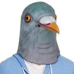 pombo_loco Profile Picture