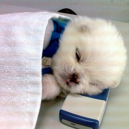 bettyhristeva's profile picture. Hello my name is Betty. I am 10 years old. My bff are Marta and Monny:-):-):-):-):-):-)