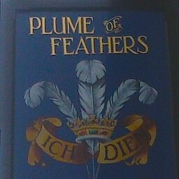 The Plume of Feathers in Portscatho. Delighted to be serving amazing ale, lush lager, serious spirits, wonderful wine and fantastic food. 01872 580321